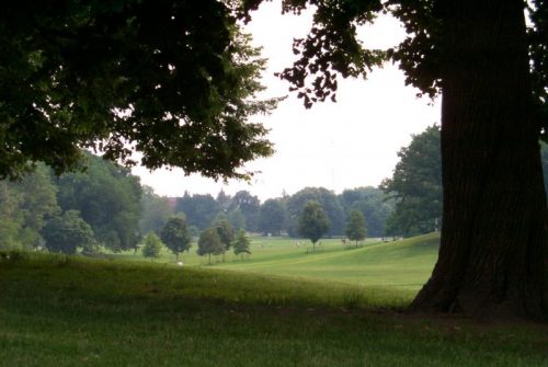 long meadow prospect park